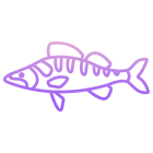 Zander Fish icon