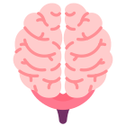 Brain icon