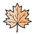 단풍잎 icon
