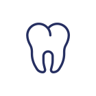 Molar icon