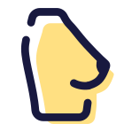 从侧面看乳房 icon