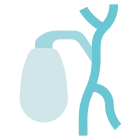 Gallbladder icon