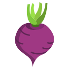 Turnip icon