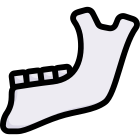 Anatomy icon