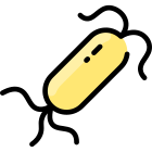 Bacteria icon