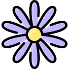 Aster icon