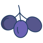 Olives icon