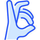 Ganze Hand icon