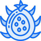 Dragonfruit icon