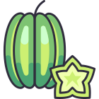 Starfruit icon