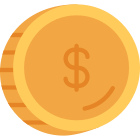 coin icon