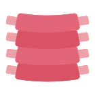 Ribs icon