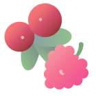 Cranberry icon