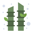 Bamboo icon