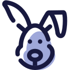 Année du lapin icon