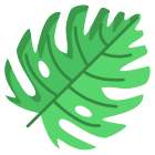 Monstera Leaf icon