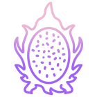 Dragon Fruit icon