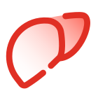 Liver icon