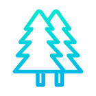 Pine Trees icon