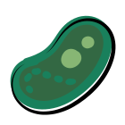 Bacteria icon