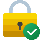 Check Lock icon