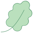 Feuille de chêne icon