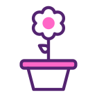 Blossom icon