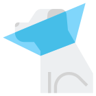 Cone Of Shame icon