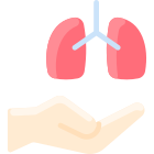 Pulmones icon