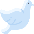 Pigeon icon