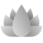 Lotus icon