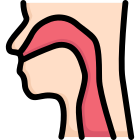 Anatomy icon