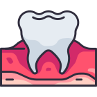 Molar icon