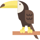 Toucan icon