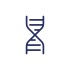 DNA Structure icon