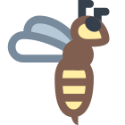 Bee icon