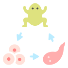 Biology icon