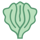 Grüner Salat icon