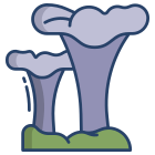 Chanterelle icon