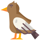 Bird icon