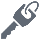 Ignition Key icon