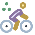 Triatlón icon