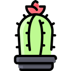 Cactus icon