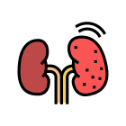 Kidney Stones icon