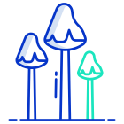 Trippy Mushrooms icon
