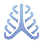 Anatomy icon