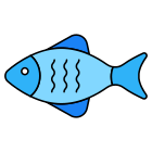 Poisson icon