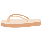 Flip Flop icon