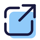 External Link icon