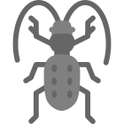 딱정벌레 icon